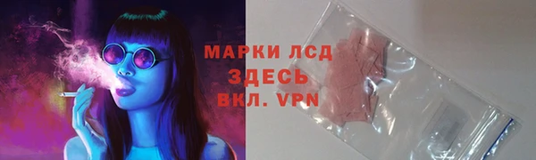 ALPHA PVP Кукмор